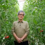 都市と調和するトマト農園（西東京市・ファーム柳沢）